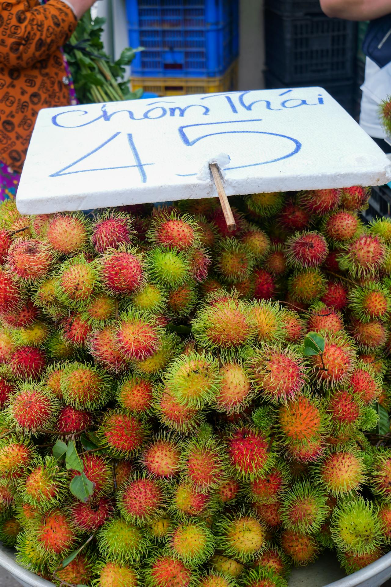 Start your visa-prepared journey with Vietnam’s vibrant glow